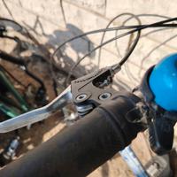 bici  da 20