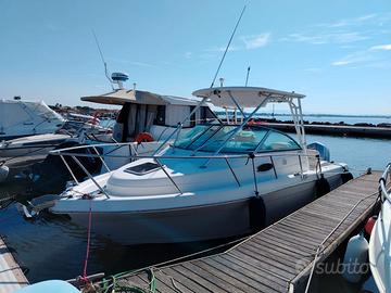 ROBALO R 265