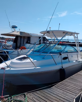 ROBALO R 265