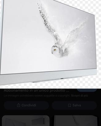 Sky glass 65 Pollici