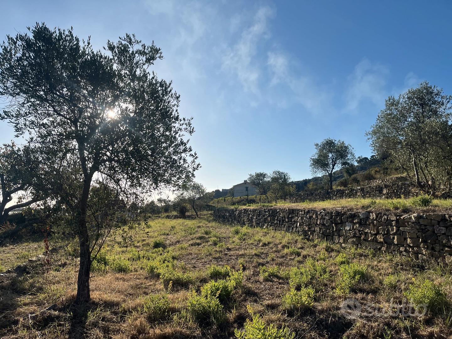 Terreno con progetto approvato Villa Unifamiliare - Vista 5