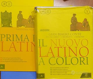 Il nuovo latino a colori. Lezioni.vol.1 9788800224