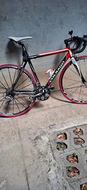 bici corsa Colnago 