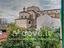 Immagine 29
