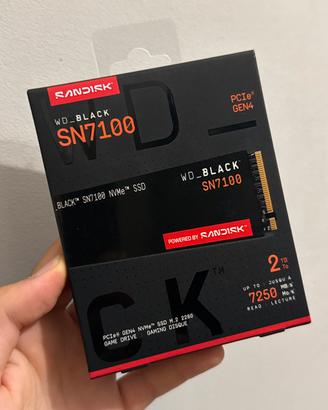 Ssd 2Tb mai usata