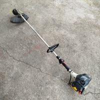 Decespugliatore Sterwins