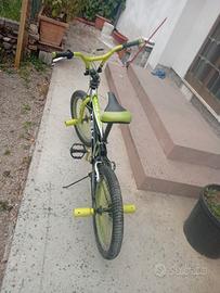 bicicletta 