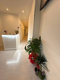 Professionista per coll. in studio multidisciplina