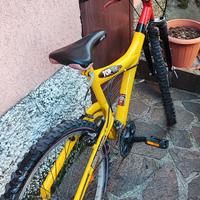 mountain bike da uomo gialla