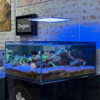 ACQUARIO MARINO COMPLETO E AVVIATO DA OLTRE 7 ANNI