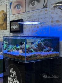 ACQUARIO MARINO COMPLETO E AVVIATO DA OLTRE 7 ANNI