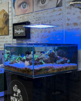 ACQUARIO MARINO COMPLETO E AVVIATO DA OLTRE 7 ANNI
