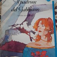 il padrone del gabbiano 