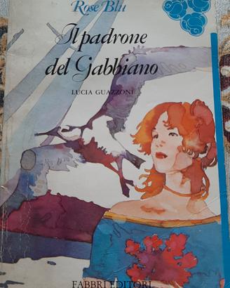 il padrone del gabbiano 