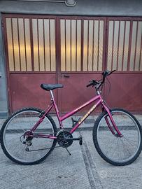 bicicletta usata perfettamente funzionante