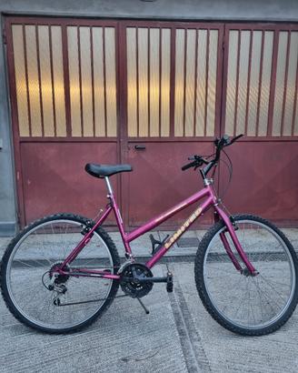 bicicletta usata perfettamente funzionante