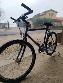 bicicletta specialized