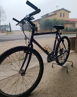 bicicletta specialized