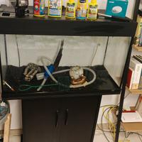 Acquario Juwel 140 LT + mobiletto completo