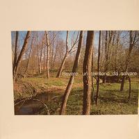 AA.VV: "Bevere - Un territorio da salvare" 2003