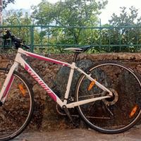 Bicicletta da strada Specialized, donna