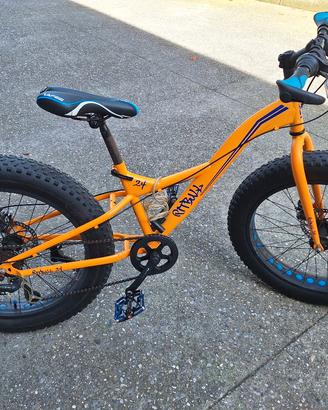 fat bike