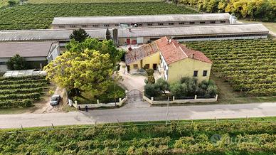 VILLA SINGOLA A COLOGNOLA AI COLLI