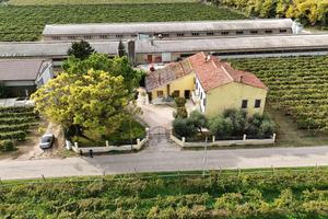 VILLA SINGOLA A COLOGNOLA AI COLLI
