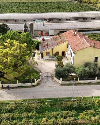VILLA SINGOLA A COLOGNOLA AI COLLI