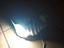 Immagine 4
