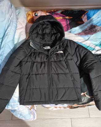 Giubbino The north face