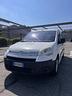 citroen-berlingo