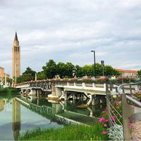 Bar snack caffetteria / Centro storico Jesolo