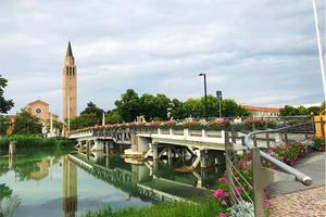 Bar snack caffetteria / Centro storico Jesolo