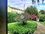 Immagine 11