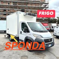 FIAT DUCATO MAXI 2.3mjt 150cv FRIGO con SPONDA