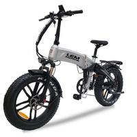 BICI ELETTRICA LEM DALLAS LUXURY 250W 48V D. AMMOR