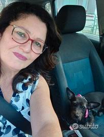 Signora automunita accompagna a Caltanissetta