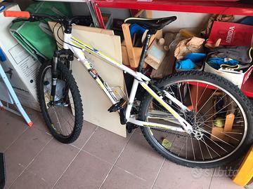 Bici ragazzo