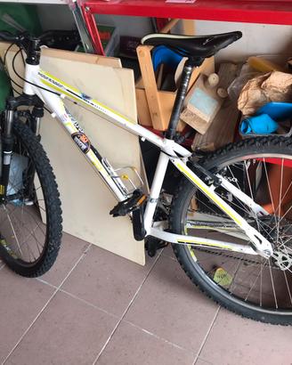 Bici ragazzo