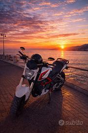 Benelli Bn251 TRATTABILE