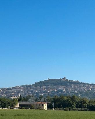 Settimana ad Assisi