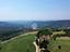 Immagine 12