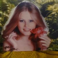 Pubblicità Shampoo Erbaviva