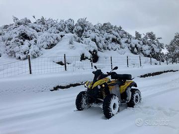 Can-Am Altro modello - 2009