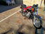Immagine 2