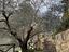 Immagine 27