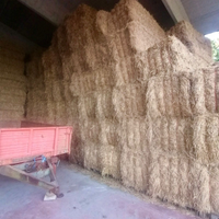 200 balloni di fieno