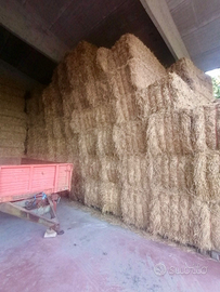 200 balloni di fieno