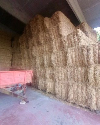 200 balloni di fieno